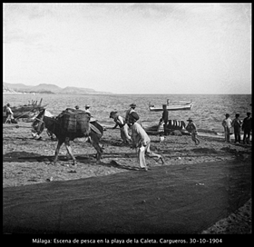 Fotos de Vicente Tolosa