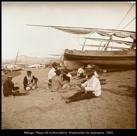 Fotos de Vicente Tolosa