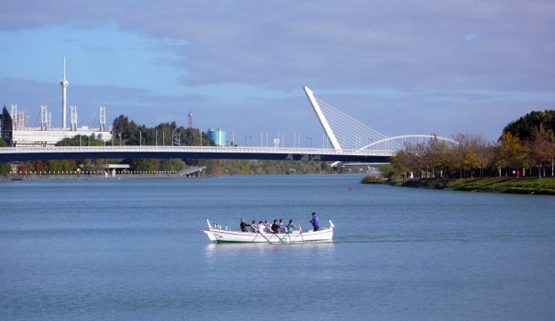 APLEMsevilla8