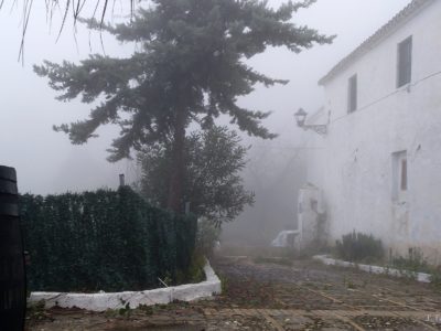 Al finalizar nos trasladamos al edificio contiguo donde nos esperaba un buen fuego y un buen almuerzo en agradable compañía.